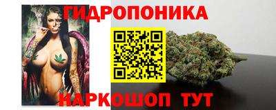 ГАЛЛЮЦИНОГЕННЫЕ ГРИБЫ Сланцы