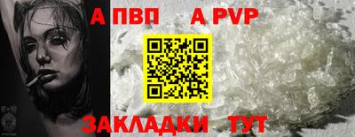 гашик Славгород