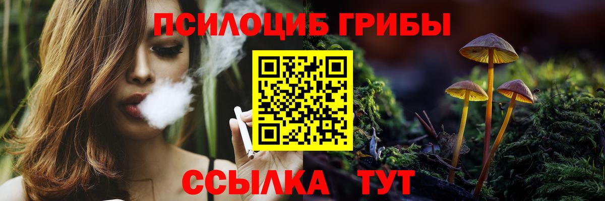 Псилоцибиновые грибы Psilocybe Нурлат